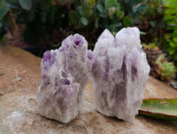 Natural Sugar Amethyst Clusters x 6 From Zambia
