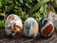 Polished Polychrome Jasper Palm Stones x 12 From NW Coast, Madagascar