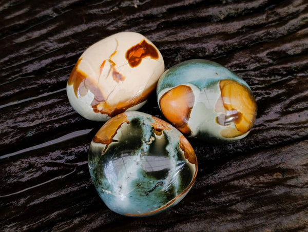 Polished Polychrome Jasper Palm Stones x 12 From NW Coast, Madagascar