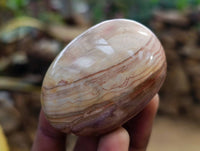 Polished Polychrome Jasper Palm Stones x 12 From NW Coast, Madagascar