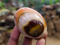 Polished Polychrome Jasper Palm Stones x 12 From NW Coast, Madagascar