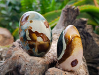 Polished Polychrome Jasper Palm Stones x 12 From NW Coast, Madagascar