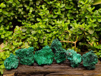 Natural Silky Malachite Specimens x 6 From Kasompe, Congo