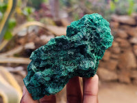 Natural Silky Malachite Specimens x 6 From Kasompe, Congo