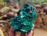 Natural Silky Malachite Specimens x 6 From Kasompe, Congo