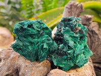 Natural Silky Malachite Specimens x 6 From Kasompe, Congo