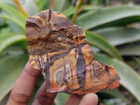 Natural Nguni Jasper Cobbed Specimens x 24 From Prieska, South Africa