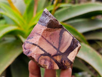 Natural Nguni Jasper Cobbed Specimens x 24 From Prieska, South Africa