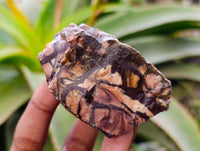 Natural Nguni Jasper Cobbed Specimens x 24 From Prieska, South Africa