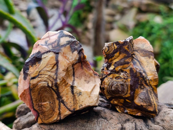 Natural Nguni Jasper Cobbed Specimens x 24 From Prieska, South Africa