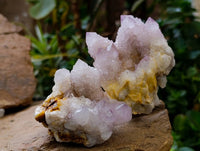 Natural Lilac Spirit Quartz Clusters x 6 From Boekenhouthoek, South Africa