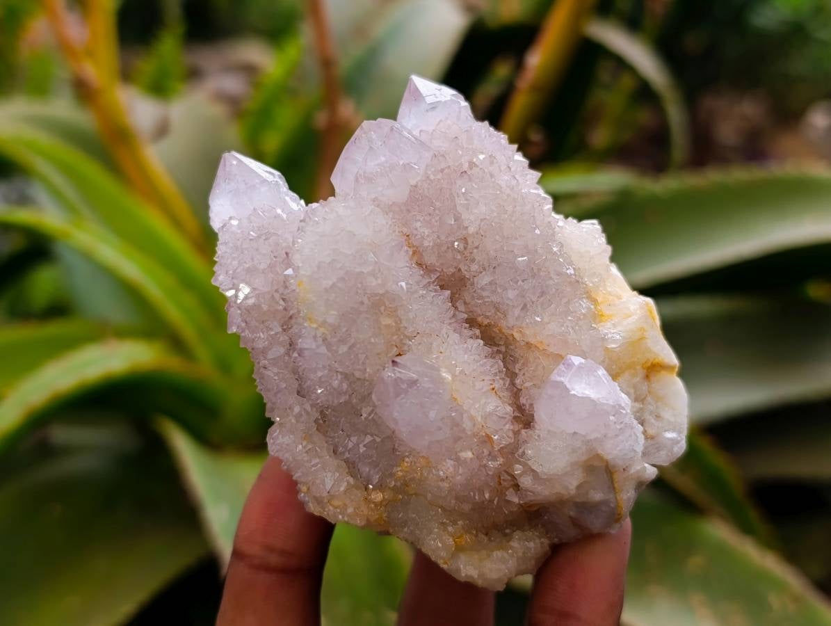Natural Lilac Spirit Quartz Clusters x 6 From Boekenhouthoek, South Africa - Toprock Gemstones and Minerals 
