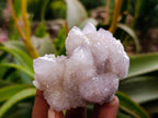 Natural Lilac Spirit Quartz Clusters x 6 From Boekenhouthoek, South Africa - Toprock Gemstones and Minerals 