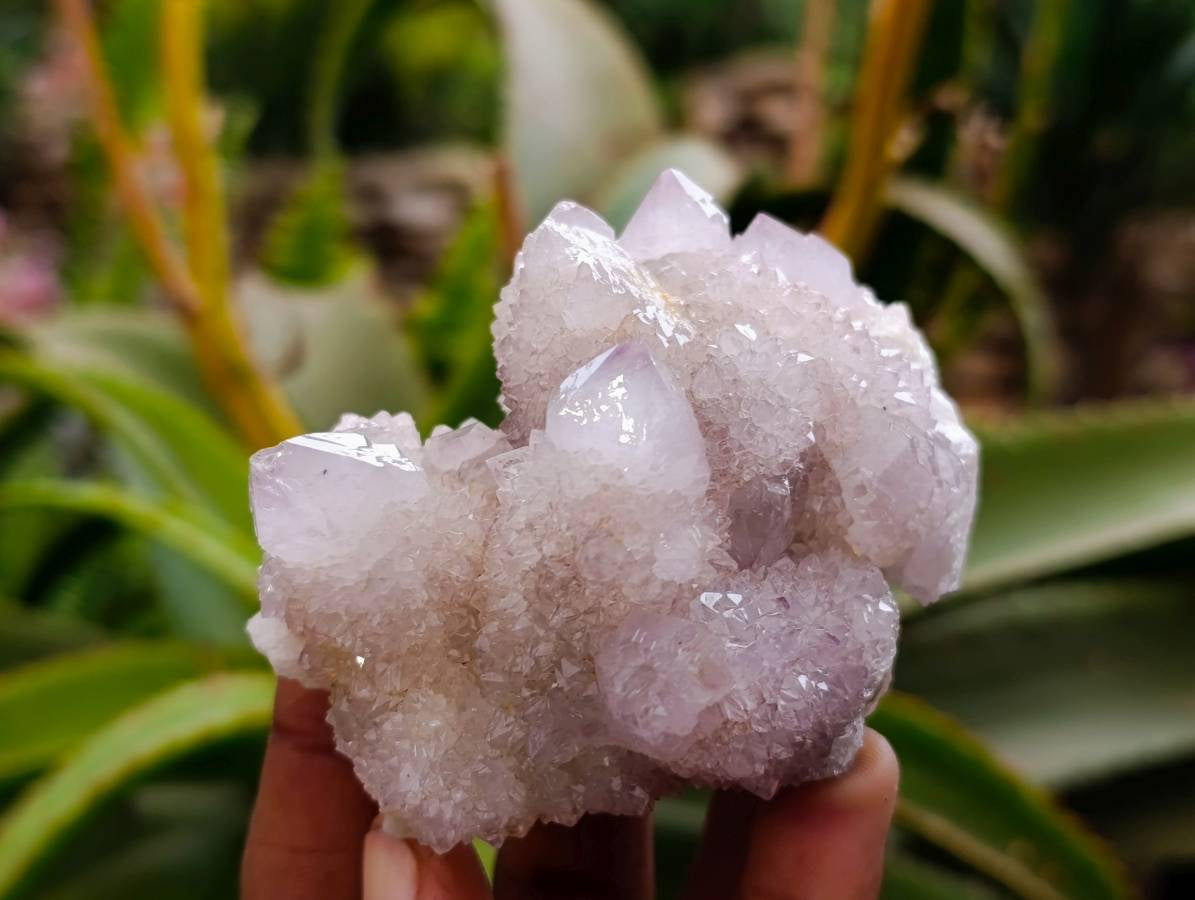 Natural Lilac Spirit Quartz Clusters x 6 From Boekenhouthoek, South Africa - Toprock Gemstones and Minerals 