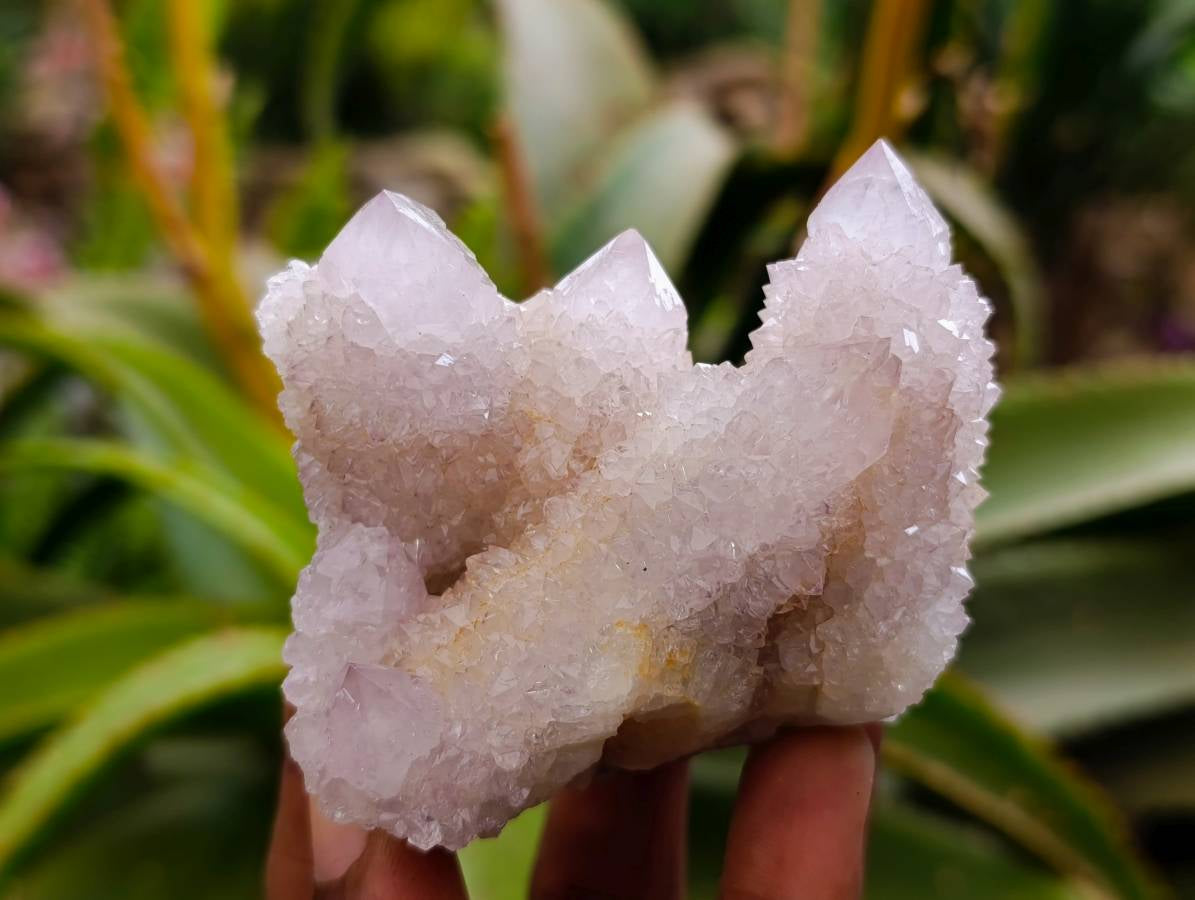 Natural Lilac Spirit Quartz Clusters x 6 From Boekenhouthoek, South Africa - Toprock Gemstones and Minerals 