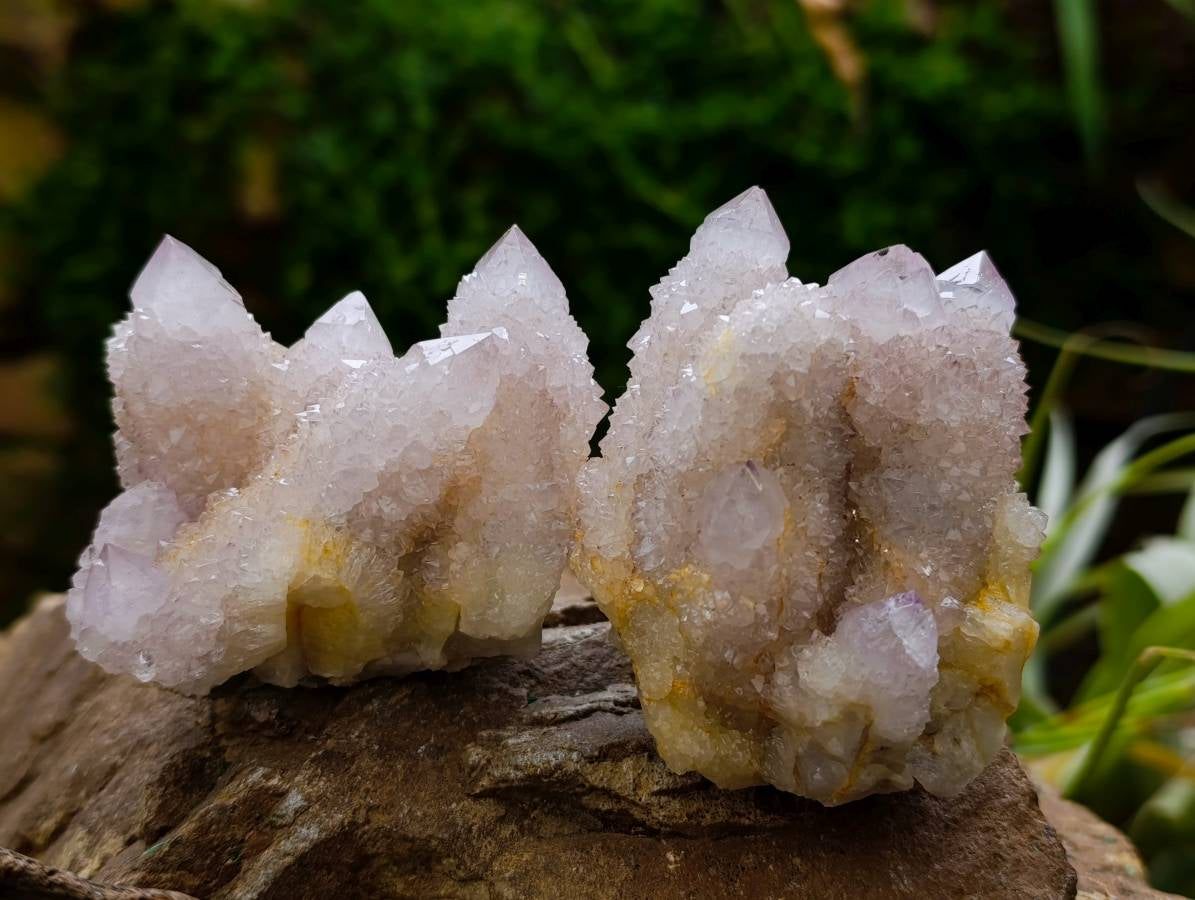 Natural Lilac Spirit Quartz Clusters x 6 From Boekenhouthoek, South Africa - Toprock Gemstones and Minerals 