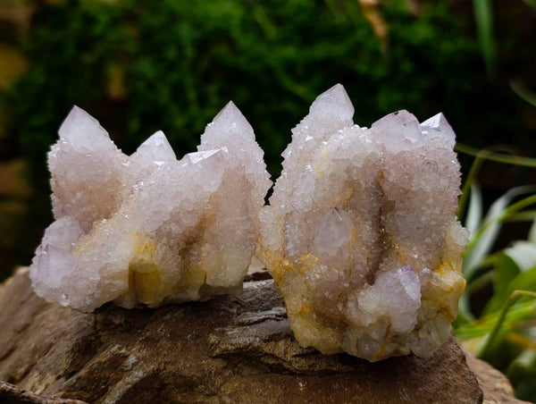 Natural Lilac Spirit Quartz Clusters x 6 From Boekenhouthoek, South Africa