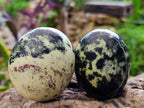 Polished Leopard Stone Palm Stones x 6 From Zimbabwe - Toprock Gemstones and Minerals 