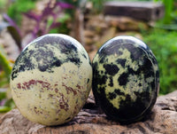 Polished Leopard Stone Palm Stones x 6 From Zimbabwe