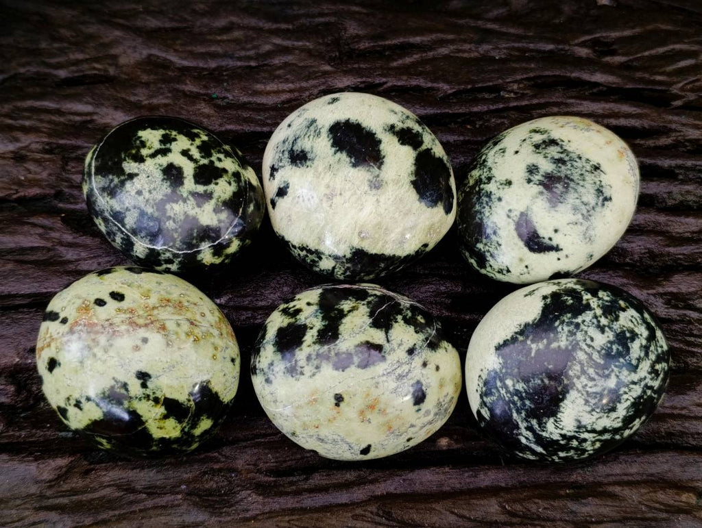 Polished Leopard Stone Palm Stones x 6 From Zimbabwe - Toprock Gemstones and Minerals 
