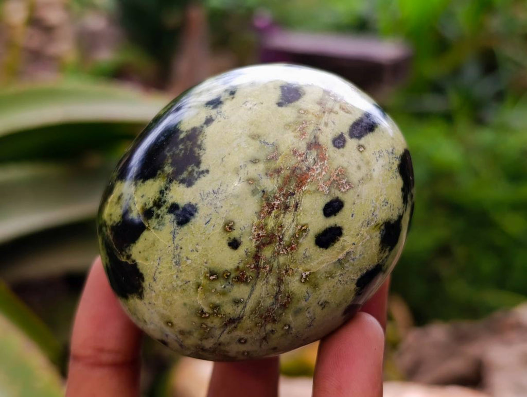 Polished Leopard Stone Palm Stones x 6 From Zimbabwe - Toprock Gemstones and Minerals 