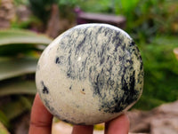 Polished Leopard Stone Palm Stones x 6 From Zimbabwe