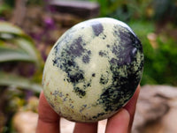 Polished Leopard Stone Palm Stones x 6 From Zimbabwe