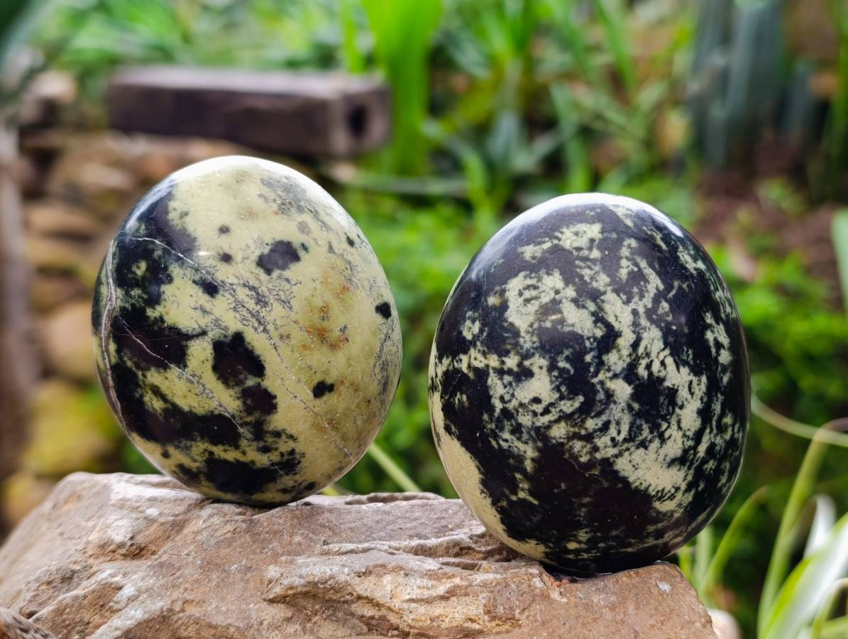 Polished Leopard Stone Palm Stones x 6 From Zimbabwe - Toprock Gemstones and Minerals 