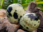 Polished Leopard Stone Palm Stones x 6 From Zimbabwe - Toprock Gemstones and Minerals 