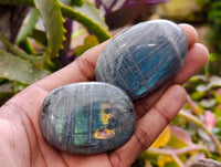 Polished Labradorite Galets x 24 From Tulear, Madagascar