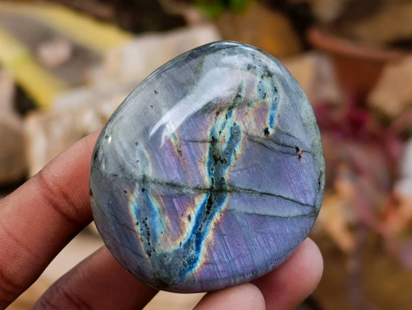Polished Labradorite Galets x 24 From Tulear, Madagascar