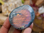 Polished Labradorite Galets x 24 From Tulear, Madagascar - Toprock Gemstones and Minerals 