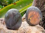 Polished Labradorite Galets x 24 From Tulear, Madagascar - Toprock Gemstones and Minerals 