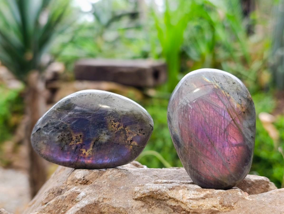 Polished Labradorite Galets x 24 From Tulear, Madagascar - Toprock Gemstones and Minerals 