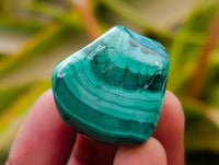 Polished Malacolla Free Forms x 35 From Kalukundi Mine, Congo