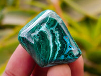 Polished Malacolla Free Forms x 35 From Kalukundi Mine, Congo