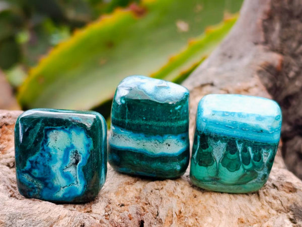 Polished Malacolla Free Forms x 35 From Kalukundi Mine, Congo