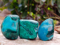 Polished Malacolla Free Forms x 35 From Kalukundi Mine, Congo
