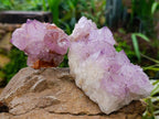 Natural Sunburst Spirit Amethyst Quartz Clusters x 3 From Boekenhouthoek, South Africa - Toprock Gemstones and Minerals 