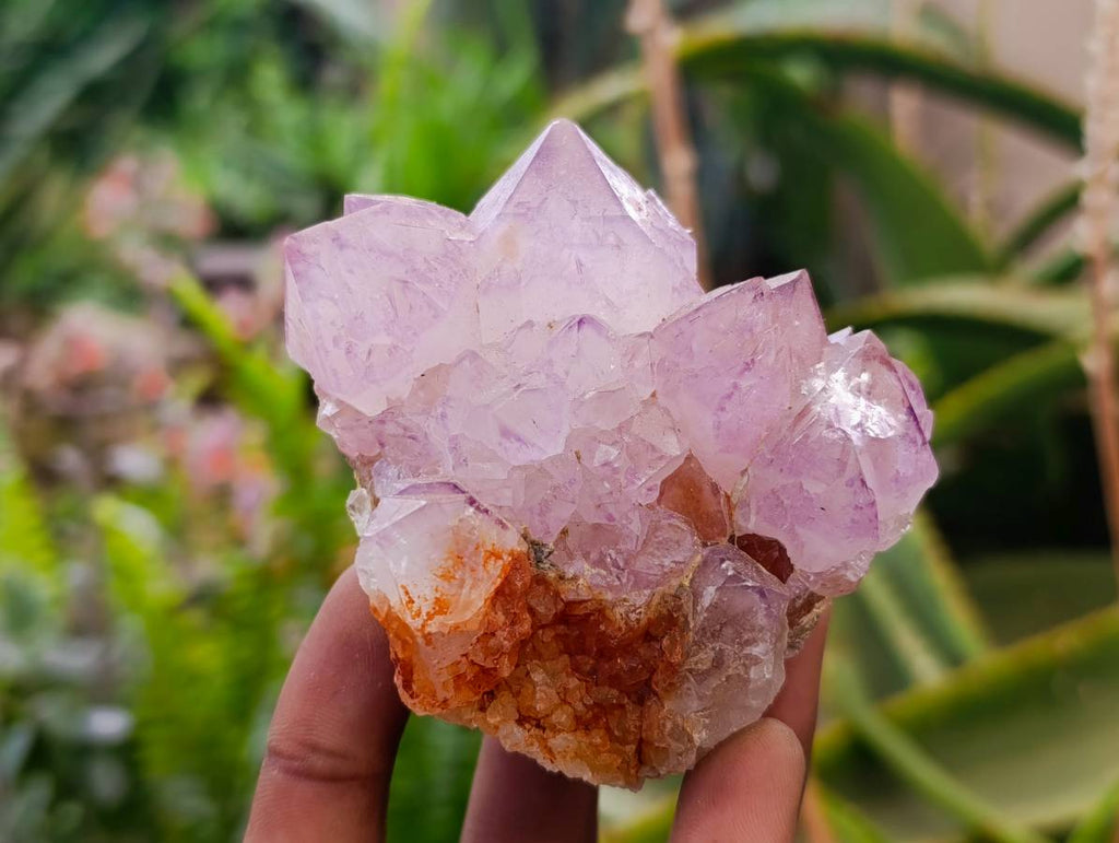 Natural Sunburst Spirit Amethyst Quartz Clusters x 3 From Boekenhouthoek, South Africa - Toprock Gemstones and Minerals 