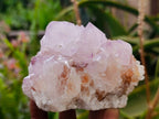 Natural Sunburst Spirit Amethyst Quartz Clusters x 3 From Boekenhouthoek, South Africa - Toprock Gemstones and Minerals 