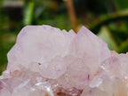 Natural Sunburst Spirit Amethyst Quartz Clusters x 3 From Boekenhouthoek, South Africa - Toprock Gemstones and Minerals 