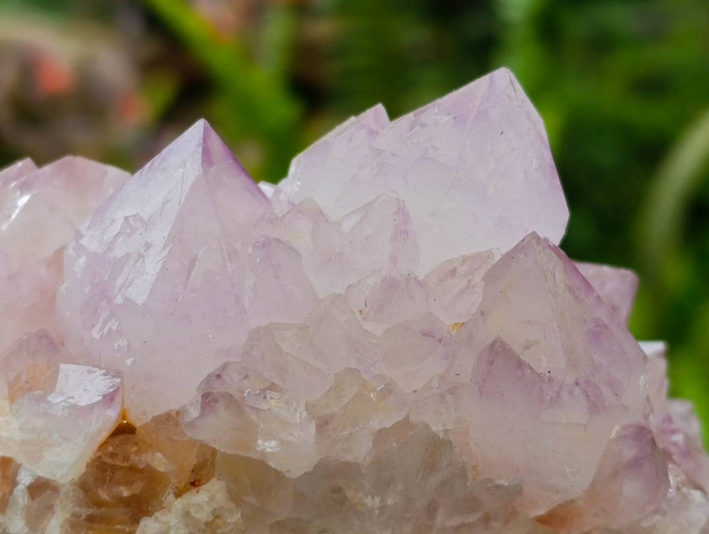 Natural Sunburst Spirit Amethyst Quartz Clusters x 3 From Boekenhouthoek, South Africa - Toprock Gemstones and Minerals 
