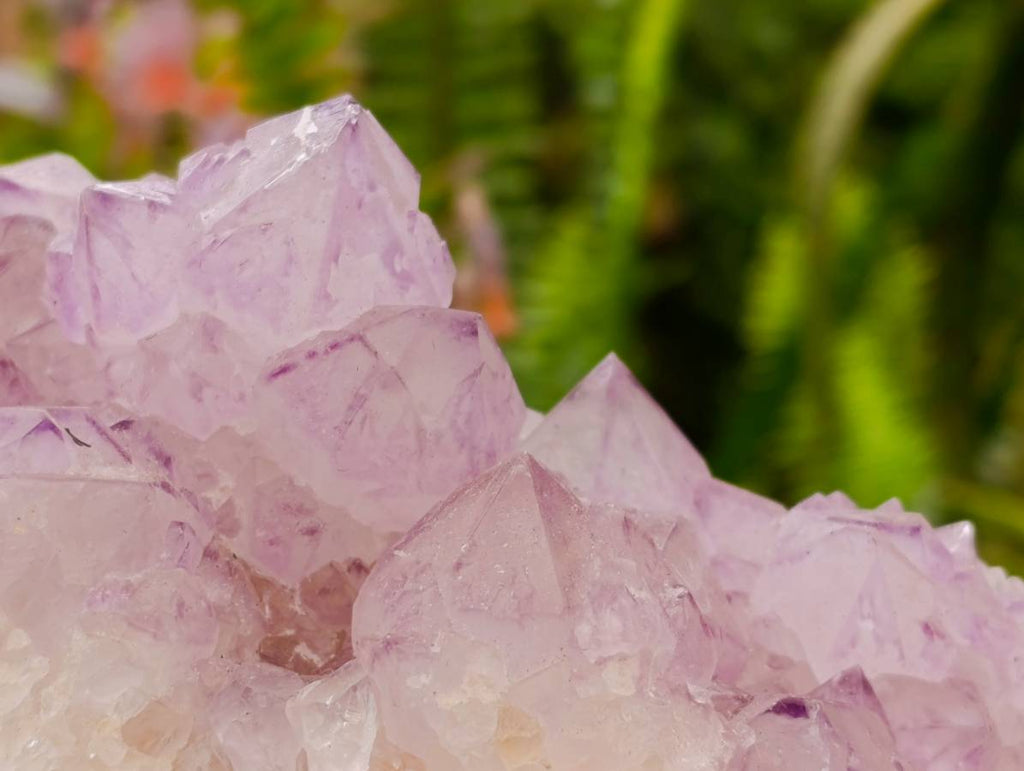 Natural Sunburst Spirit Amethyst Quartz Clusters x 3 From Boekenhouthoek, South Africa - Toprock Gemstones and Minerals 