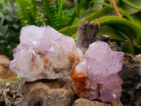 Natural Sunburst Spirit Amethyst Quartz Clusters x 3 From Boekenhouthoek, South Africa
