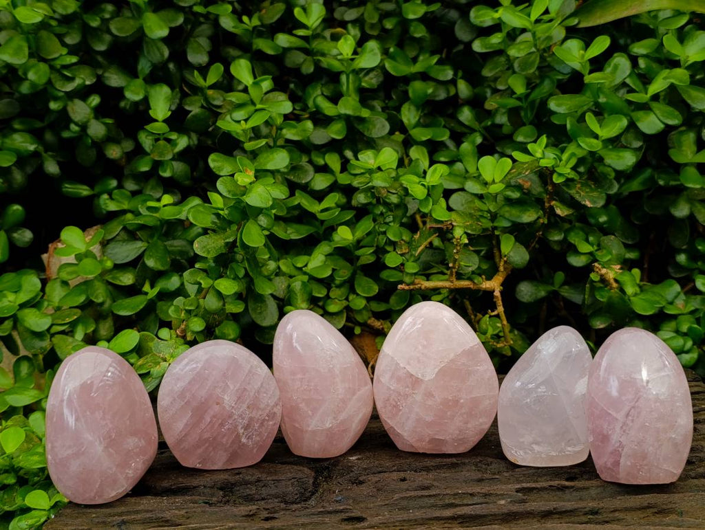 Polished Rose Quartz Standing Free Forms x 6 From Madagascar - Toprock Gemstones and Minerals 