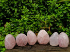 Polished Rose Quartz Standing Free Forms x 6 From Madagascar - Toprock Gemstones and Minerals 