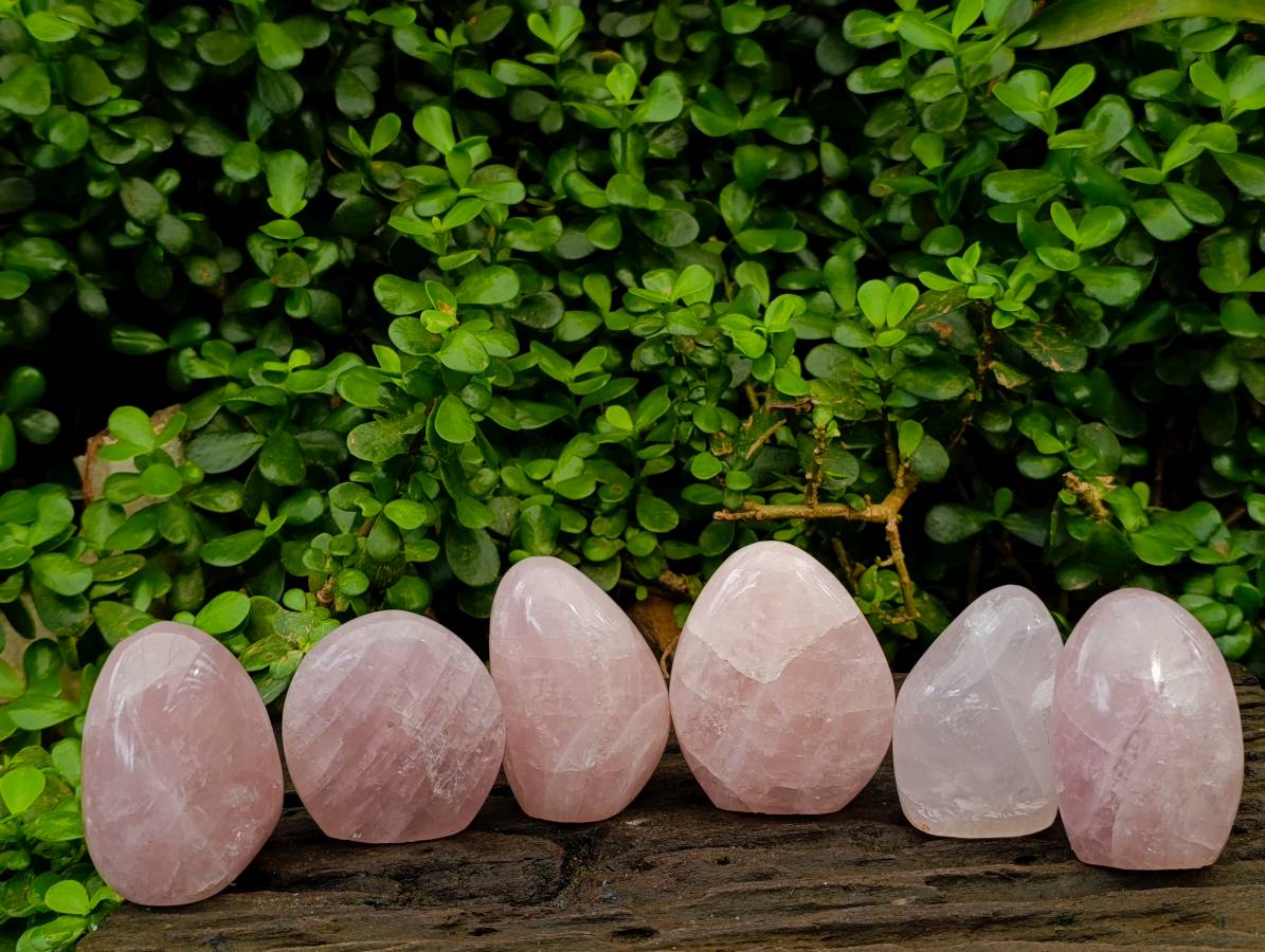 Polished Rose Quartz Standing Free Forms x 6 From Madagascar - Toprock Gemstones and Minerals 