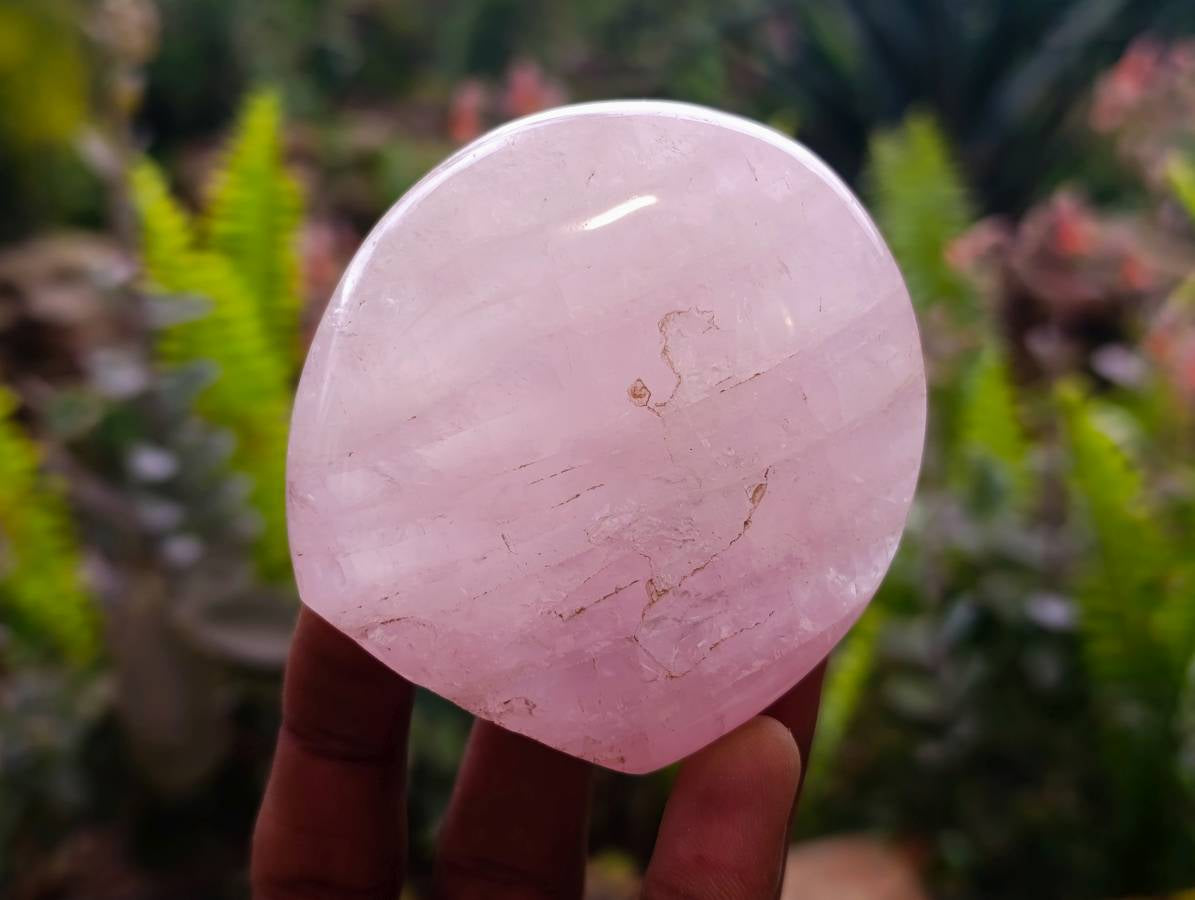 Polished Rose Quartz Standing Free Forms x 6 From Madagascar - Toprock Gemstones and Minerals 