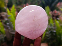 Polished Rose Quartz Standing Free Forms x 6 From Madagascar